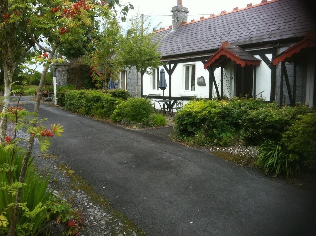 Caheroyn House Bed & Breakfast Athenry Exterior foto