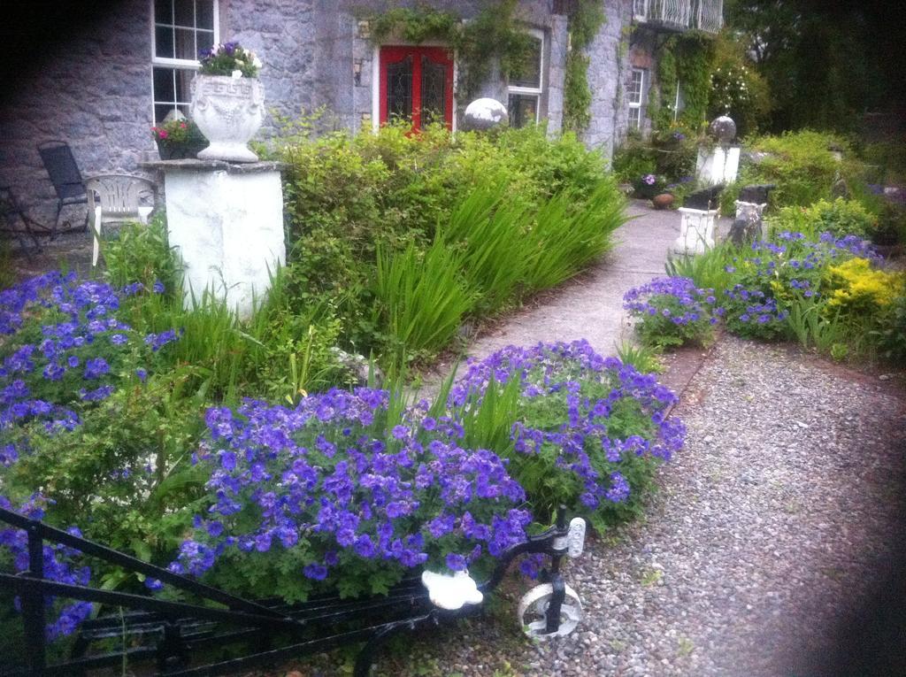 Caheroyn House Bed & Breakfast Athenry Exterior foto