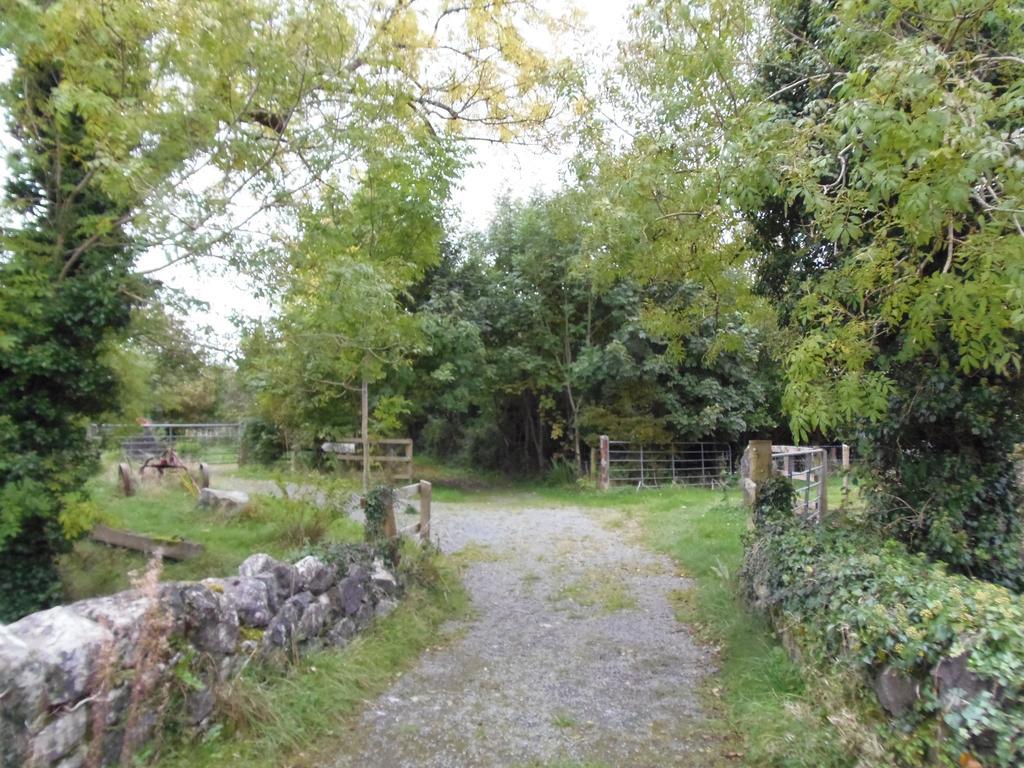 Caheroyn House Bed & Breakfast Athenry Exterior foto